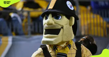 Pittsburgh Steelers mascot Steely McBeam