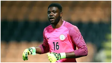 Daniel Akpeyi, AFCON 2023, Super Eagles, Nigeria
