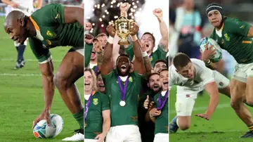 springboks, south africa, 2019 rugby world cup final, england, yokohama, cheslin kolbe, makazole mapimpi, siya kolisi, cyril ramaphosa, japan