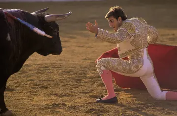 Best rodeo bullfighters
