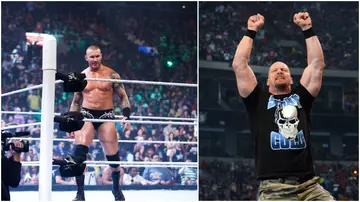 Stone Cold Steve Austin, Randy Orton, RKO, Undertaker, Triple H, WWE.