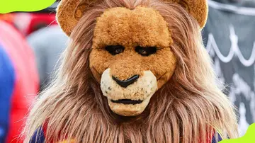 Mascot Leo