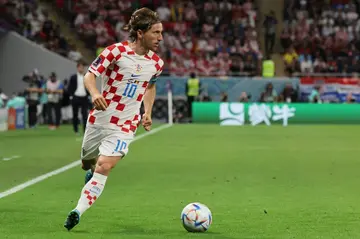 Luka Modric is one of nine Croatia players in the Qatar World Cup squad to have come through the ranks at Dinamo Zagreb