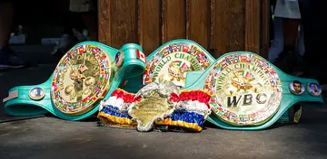 Belts in the heavyweight boxing division