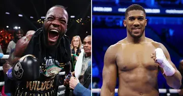 Deontay Wilder and Anthony Joshua could meet in the boxing ring later this year.