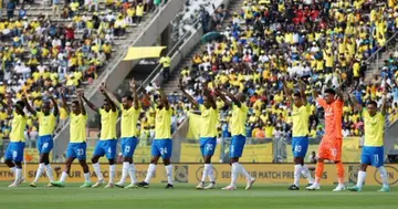 Mamelodi Sundowns saluting their fans.