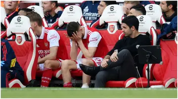 Mikel Arteta and Arsenal substitutes look dejected during the Premier League match between Arsenal FC and Brighton at Emirates Stadium. Photo by Shaun Botterill.