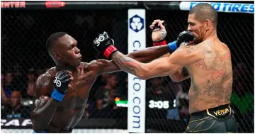 Israel Adesanya, UFC 287, Alex Pereira