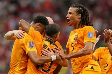 Cody Gakpo (L) has scored in three consecutive games for the Netherlands at the World Cup