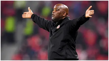 Pitso Mosimane is still on Kaizer Chiefs radar despite joining a new club recently. Photo: David Ramos. 