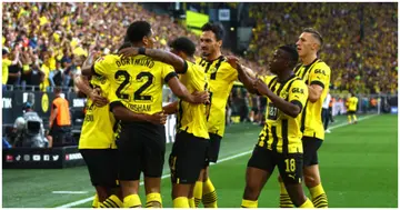 Borussia Dortmund, Bayern Munich, Germany, Dietmar Hamann, Bundesliga