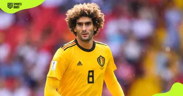 What position did Fellaini play for Everton?