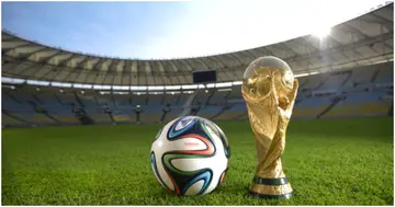 World Cup, 2022 World Cup, FIFA World Cup, Qatar, Qatar 2022, Santiago Sanchez, Spain, Iran, Doha.