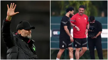 Jurgen Klopp has apologised to Rui Vitoria