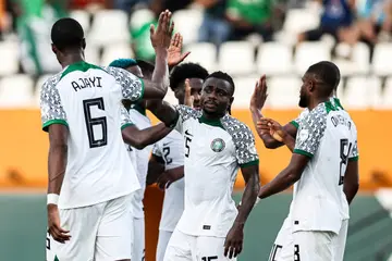 Super Eagles, Nigeria, Joseph Yobo, AFCON 2023, Alex Iwobi