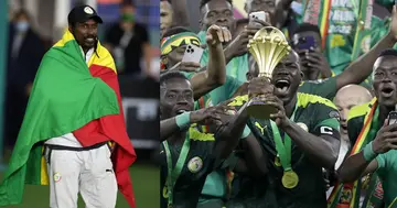 Senegal, Egypt, World Cup, Aliou Cisse, Dakar