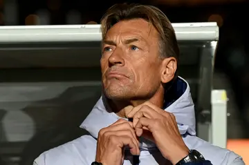 French coach Herve Renard has had a varied career