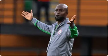 Nigeria, Finidi George, Super Eagles, Coaching, NFF, indegenous coach, Benin 