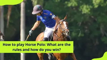 Horse Polo