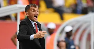 Former Orlando Pirates coach, Milutin Sredojevic, guilty, sexual assault, released statement, Micho