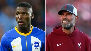 Moises Caicedo, Jurgen Klopp, Chelsea, Liverpool, Premier League, Brighton