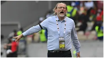 Tom Saintfiet reacts during the Africa Cup of Nations 2021 quarter-final football match between Gambia and Cameroon. Photo: Issouf Sanogo. 