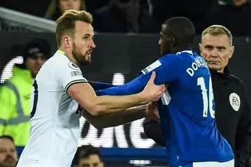Tottenham striker Harry Kane (L) argues with Everton midfielder Abdoulaye Doucoure