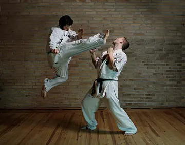 Is taekwondo harder than karate?