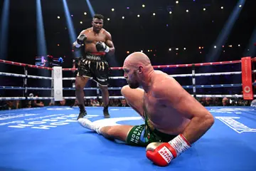 Francis Ngannou, Tyson Fury, Boxing, UFC, MMA