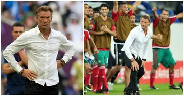 Herve Renard, World Cup, Morocco, Saudi Arabia, France