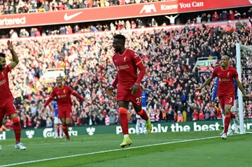 Divock Origi scored crucial goals in his eight years at Liverpool