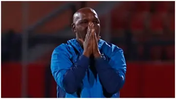 Pitso Mosimane, Super Eagles, Nigeria, World Cup, Victor osimhen, Samuel Chukqueze