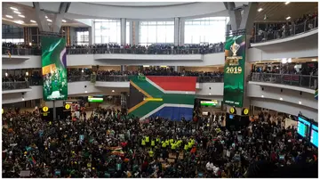 Springboks Supporters