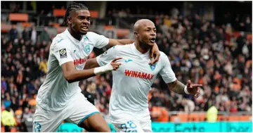 Andre Ayew, Ghana, Le Havre, Ligue 1