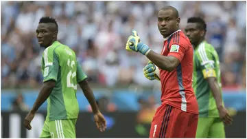 Vincent Enyeama, Nigeria, Super eagles, Jose Peseiro, Augustine Eguavoen, 2023 AFCON.