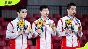 Fan Zhendong's medals