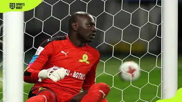 Denis Onyango at the FIFA Club World Cup in 2016