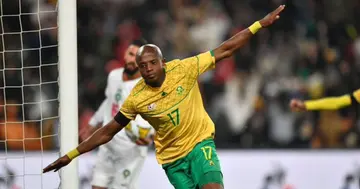 Zakhele Lepasa, Bafana Bafana, Sport, South Africa, World, AFCON, Clive Barker, RIP, Morocco