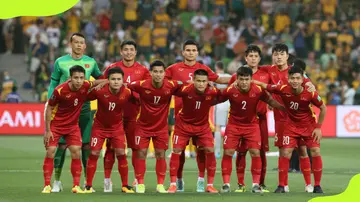 Vietnam's national football team