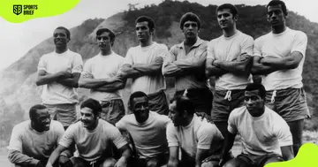 Marco Antônio (back row, far left) poses for Brazil's national team