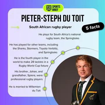 Bio facts about Pieter-Steph du Toit.