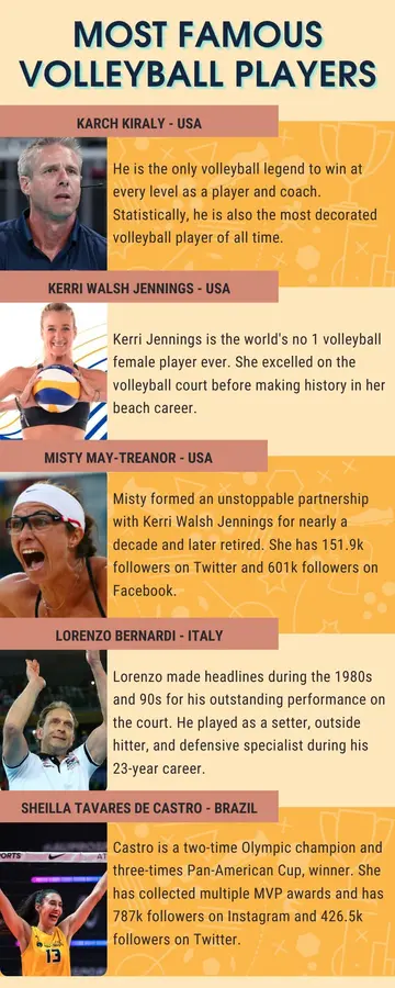 Most famous volleyball players