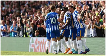 Brighton players celebrate with Moises Caicedo after he scored the opening goal during the Premier League match between Brighton and Manchester United. Photo by Bryn Lennon.