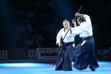 Where did aikido come from?