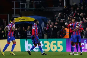 Late show: Crystal Palace celebrate their late equaliser against Manchester United