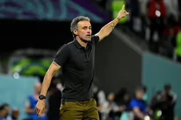Luis Enrique was in charge of Spain at last year's World Cup