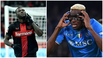 Victor Boniface and Victor Osimhen are reportedly transfer targets for Chelsea. Photo: Christof Koepsel/Tiziana Fabi.