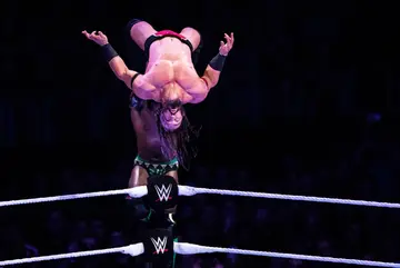 WWE wrestling moves