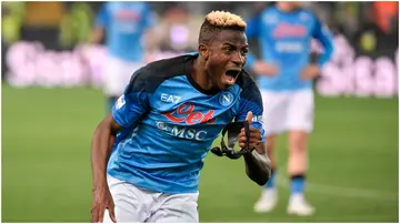 Victor Osimhen, Napoli, Udinese, Udine, Serie A.