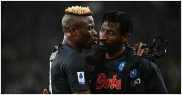 Victor Osimhen, Zambo Anguissa, Napoli, Champions League